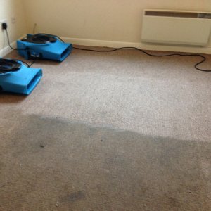 Carpet Cleaning Leicester 